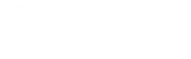 Premier Impuestos y Auditoría